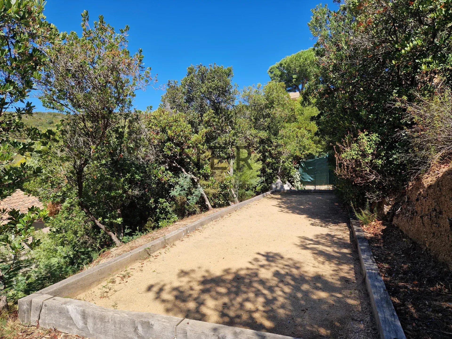 Photo numéro 16