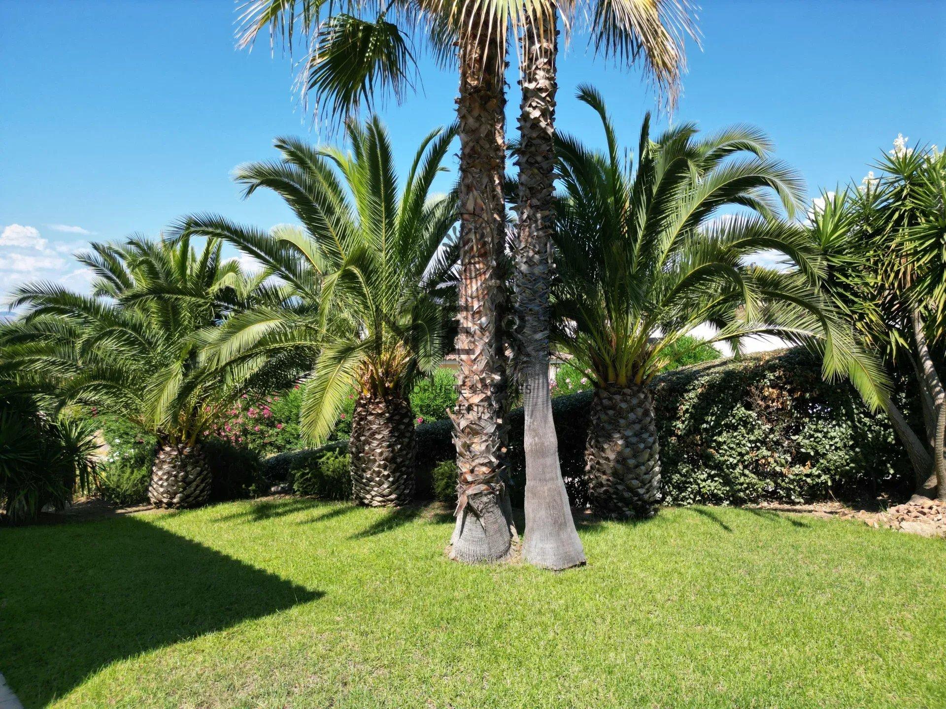 Photo numéro 3