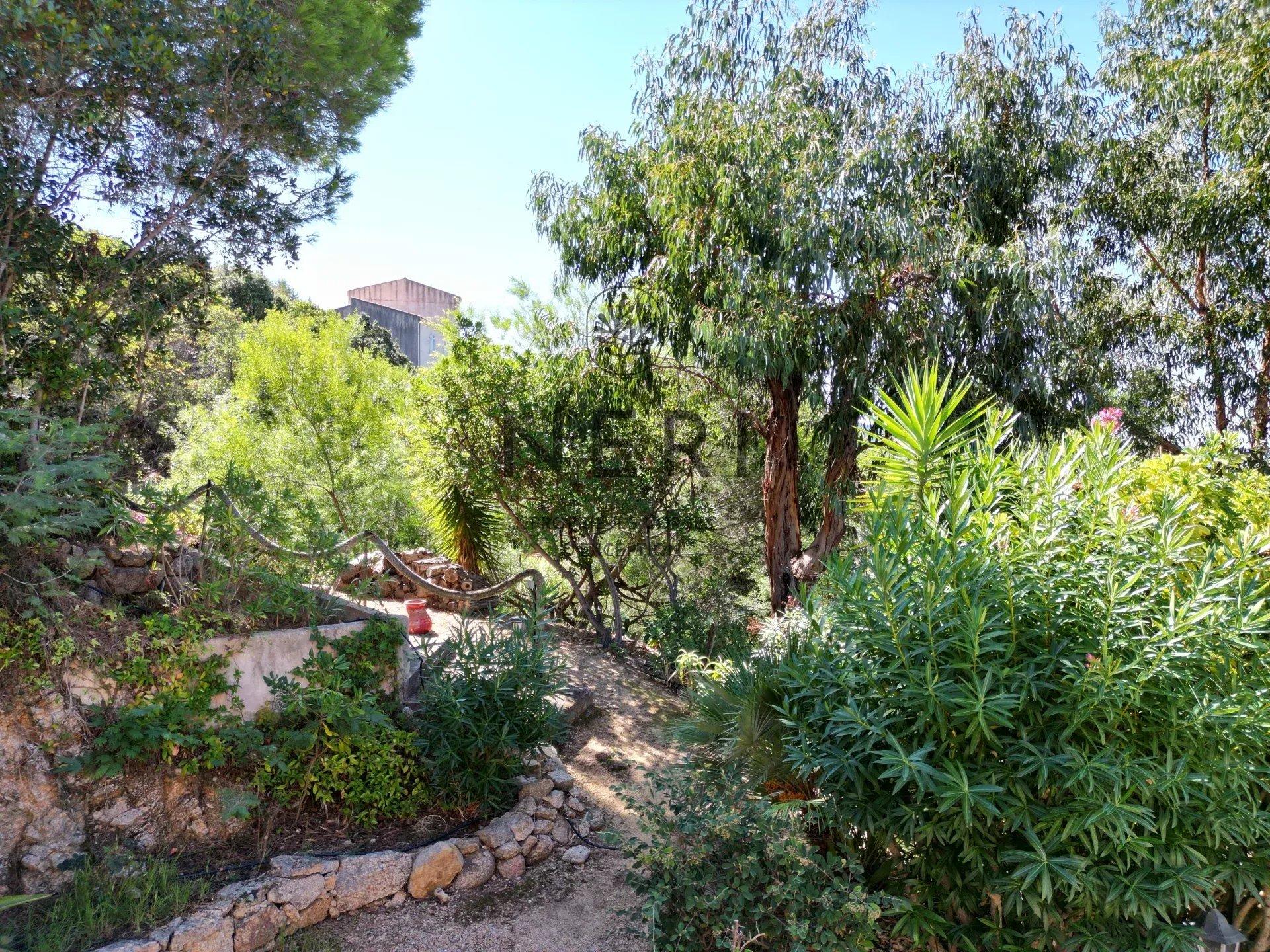 Photo numéro 15